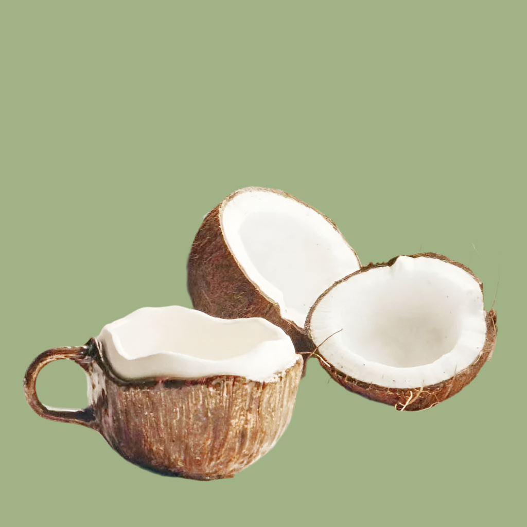 Art of mangiare™ - Kokosnuss Tasse & Löffel